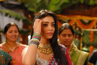 Shriya Beautiful Photos